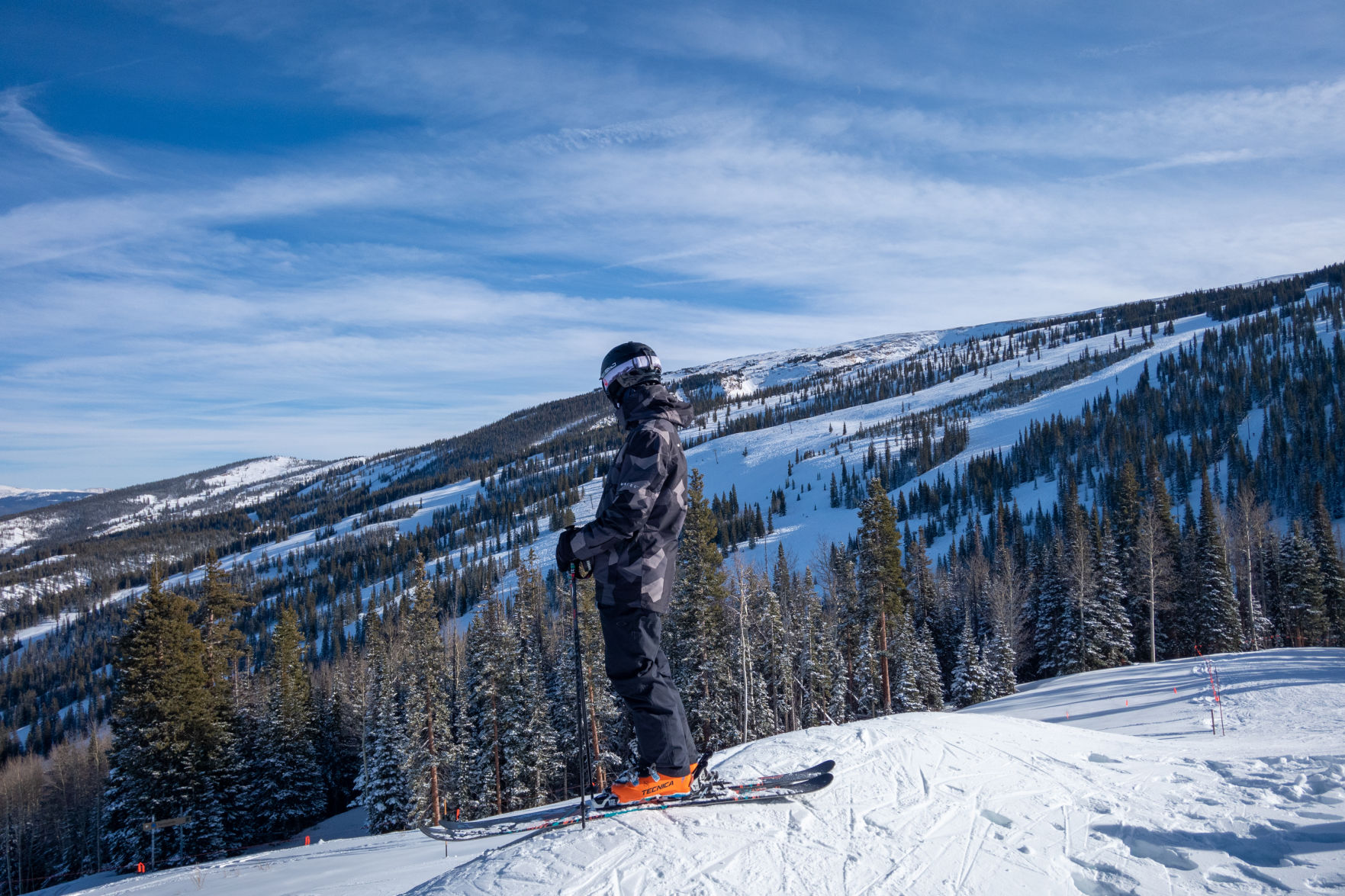 Surveying Snowmass